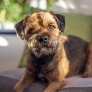 Meet your Posher, Sam